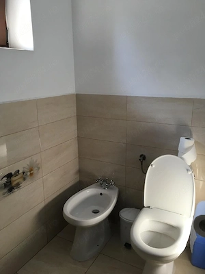 Ofer spre chirie Casa noua in Horia ,500 Euro  luna  - imagine 6