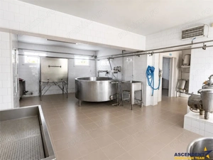 Unitate de procesare alimentara:potential industrial investitional+birouri +1.300mp teren, Ilieni, C - imagine 13