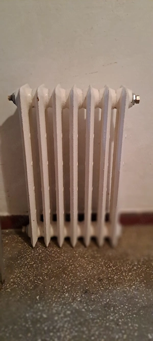 Calorifere din fontă 