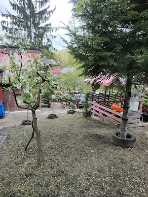 Vand casa de vacanta in judetul Arges intre Pitesti si Campulung Muscel - imagine 3