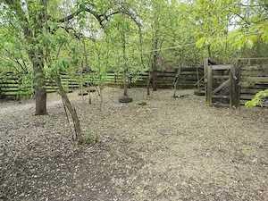 Vand casa de vacanta in judetul Arges intre Pitesti si Campulung Muscel - imagine 4