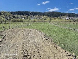 Teren de vânzare in Vatra Dornei 