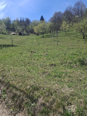 Vand pamant cu casa la Maramures - imagine 8