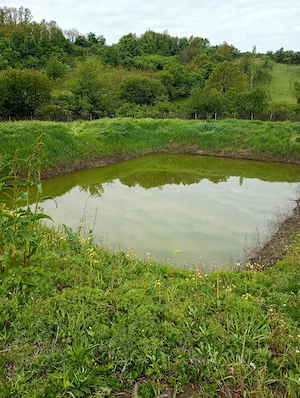 Casă de vânzare la 25 km de Slatina 