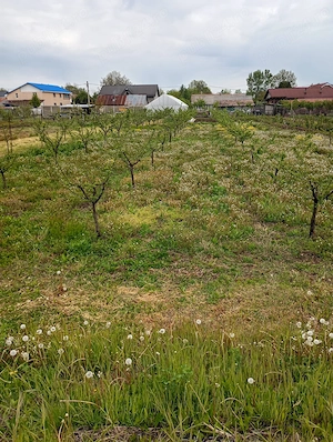 Casă de vânzare la 25 km de Slatina  - imagine 5