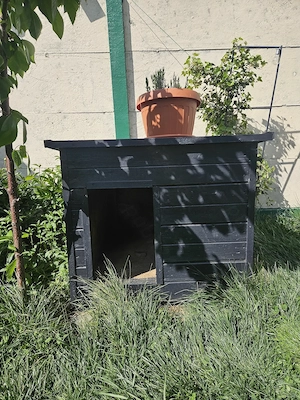 Vând cușcă mare pentru câine - imagine 2