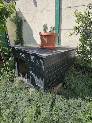 Vând cușcă mare pentru câine