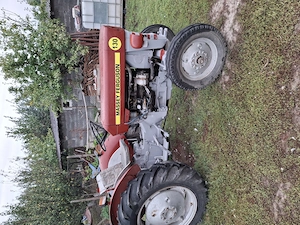 Tractor Massey Ferguson 41 CP   stare foarte bună, gata de muncă - imagine 2