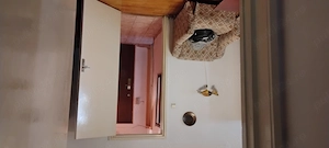 Apartament 2 camere, parter Gradiste, zona linistita - imagine 8