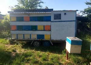 Pavilion omologat apicol, cu 36 de cutii pe 10 rame 1 1 și caturi de 1 2. 