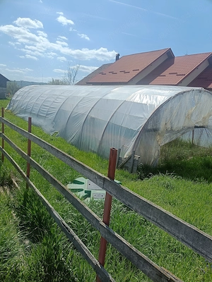 Solar de vânzare 
