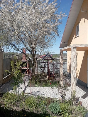 Vând casă locuibilă,an com.grajduri sat Valea Satului, Iași preț 55000 euro neg. - imagine 10