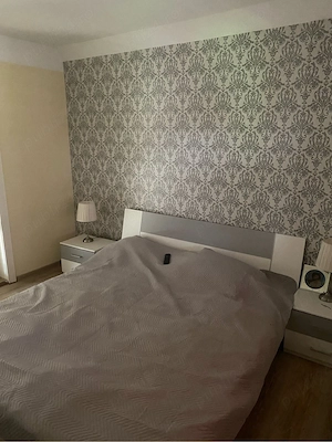 Vand Casa in Gradina Viilor - imagine 5