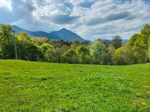 Teren de vânzare Bran 5km aprox Zărnești 5km aprox - imagine 3