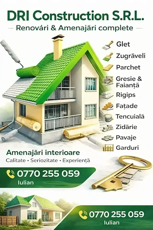 Lucrări particulare 