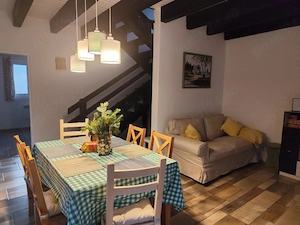 Casa de vacanta de vanzare in Sasca montana - imagine 5