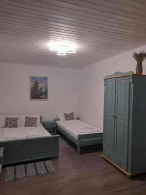 Casa de vacanta de vanzare in Sasca montana - imagine 8