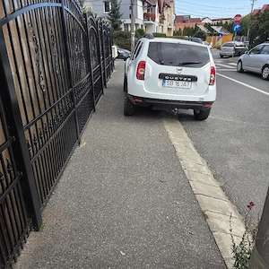Dacia Daster 4 4 - imagine 5