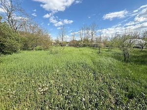 Vând casă locuibilă cu teren 1.770 mp - C.A. Rosetti, Buzău - 34.000 euro negociabil - imagine 3