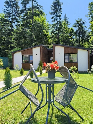 Chalet Amik in Bușteni!  - imagine 2