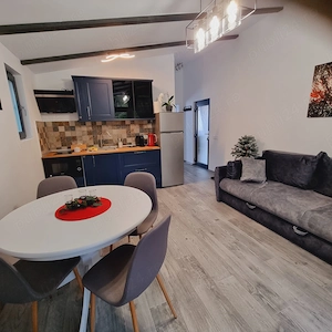 Chalet Amik in Bușteni!  - imagine 3
