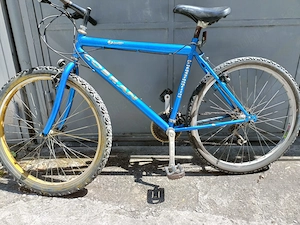 Vând BICICLETĂ 12 viteze