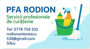 Servicii Curățenie Profesională 