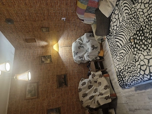 Apartament  la casa in centru Oradea - imagine 3
