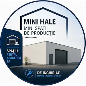 Spatii Depozitare Activitati str Chimiei Roman NT