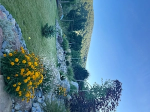 Cabana de vacanta Varciorog- iesire la padure