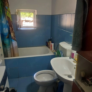 Proprietar Vand casa sat Otvesti - imagine 3