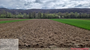 Terenuri + casă batraneasca si anexe de vanzare  - imagine 9