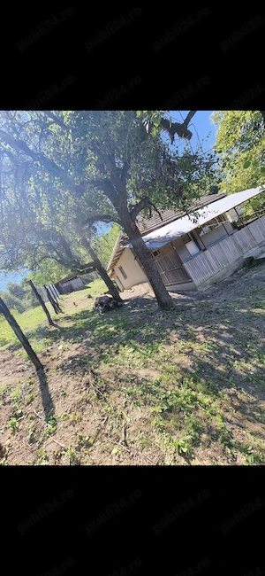 Terenuri + casă batraneasca si anexe de vanzare  - imagine 3
