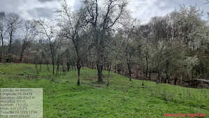 Terenuri + casă batraneasca si anexe de vanzare  - imagine 8