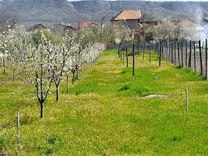 casă cu teren generos, ideala pentru locuit si relaxare. - imagine 7