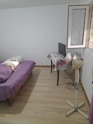 casă cu teren generos, ideala pentru locuit si relaxare. - imagine 9
