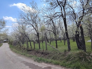 Teren de vânzare intravilan.
