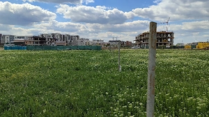 Teren pallady, str gura Solcii, gura Vladesei  - imagine 4