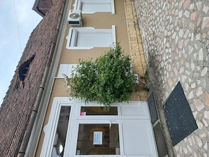 Spatiu comercial Lazaret 48m