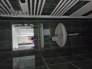 Spatiu comercial Lazaret 48m - imagine 5