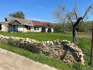 Teren intravilan si case