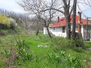 Casa si curte 1800m2 zona Colonesti, Olt tel.   - imagine 5