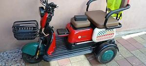 vind tricicleta electrica pentru adulti cumparata de un an .este noua si se vinde mult sub pret 