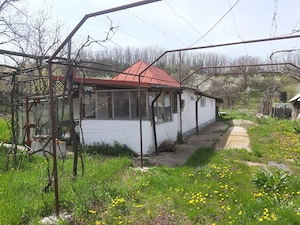 Casa si curte 1800m2 zona Colonesti, Olt tel.   - imagine 4