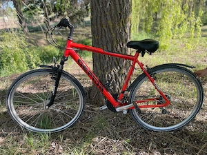 Bicicleta Gepida