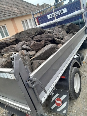 Carbuni Lignit 