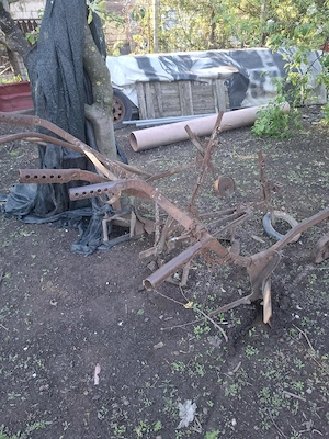 Plug Rariță Prăsitoare de Cal