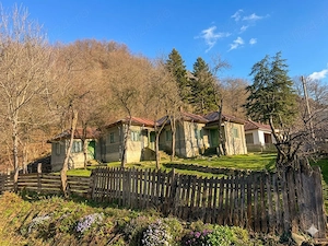 Vând casă de vacanță,, Focul Viu"
