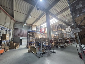 Inchiriere depozit hala spatiu industrial Mogosoaia - Centura, Ilfov - imagine 7