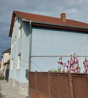 Casă de vânzare P+M, Ineu, județul Arad  - imagine 4